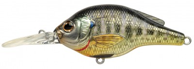 Bluegill color metallic gloss
