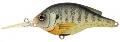 Bluegill color natural matte