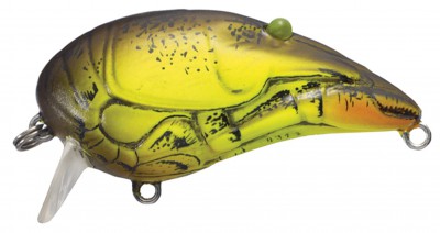 Crawfish color mustard brown