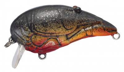 Crawfish color red black