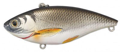 Golden Shiner color silver black