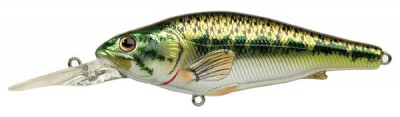 Large Mouth Bass color metallic gloss