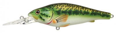 Large Mouth Bass color natural matte