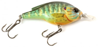 Pumpkinseed color 