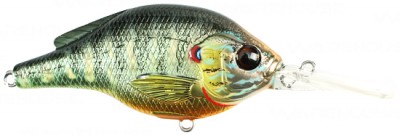 Pumpkinseed color metallic gloss