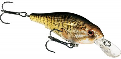 Small Mouth Bass color 