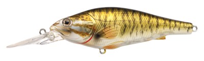 Small Mouth Bass color metallic gloss