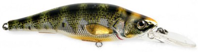 Yellow Perch color metallic gloss