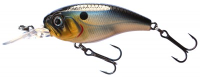 Gemini XD color PSSH