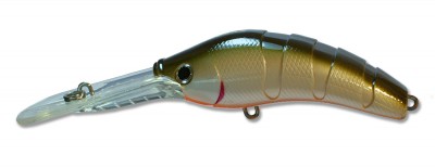 Horror DD color PSSH