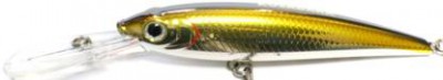 Invince HTR Minnow color CNT