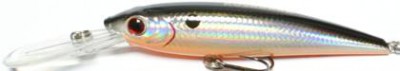 Invince HTR Minnow color GT