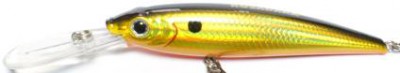 Invince HTR Minnow color HGBL