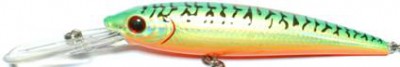 Invince HTR Minnow color HT