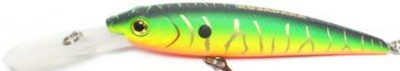 Invince HTR Minnow color MHT