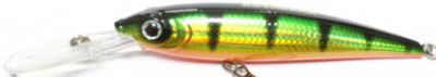 Invince HTR Minnow color PC