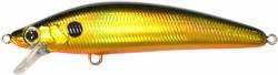 Invince Minnow color HGBL
