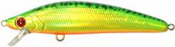 Invince Minnow color HT