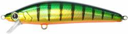 Invince Minnow color PC