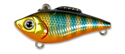 Invince SR Vib color CNB