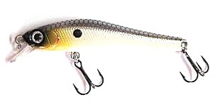 Ion XS 70 color PSSH