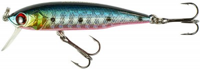 JIG Minnow color BRS