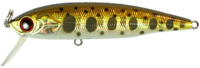 JIG Minnow color NT