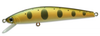 Meridian XS color NT