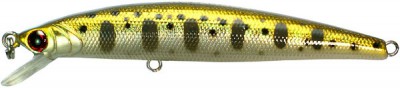 Orin Minnow color NT
