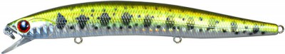 Slim Minnow color NT
