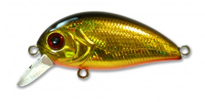 SLS Crank XS color HGBL