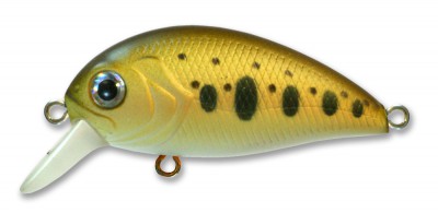 SLS Crank XS color NT