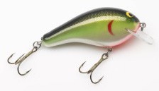 Big Sisson 3 color 06