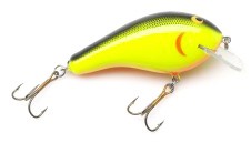 Big Sisson 3 color 09