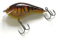 Big Sisson 3 color 12