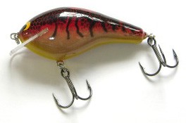 Big Sisson 3 color 14