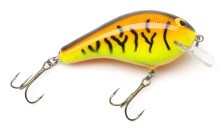 Big Sisson 3 color 15