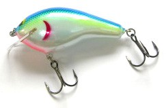 Big Sisson 3 color 32