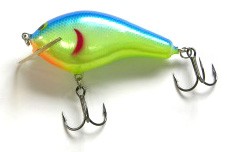 Big Sisson 3 color 33