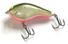 Big Sisson 3 color 34