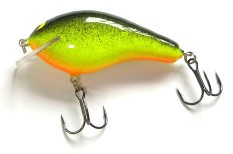 Big Sisson 3 color 35