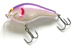 Big Sisson 3 color 37