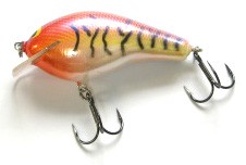 Big Sisson 3 color 38