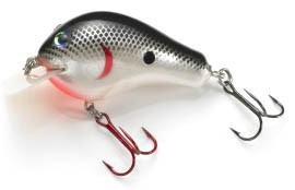 Premium Balsa Shallow 2 color 02