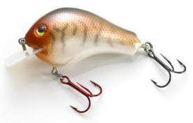 Premium Balsa Shallow 2 color 38