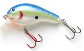 Premium Balsa Shallow 3 color 32