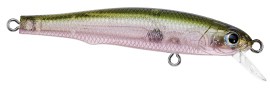 LB Minnow color 06
