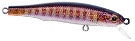 LB Minnow color 08