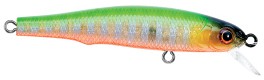 LB Minnow color 12