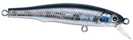 LB Minnow color 19